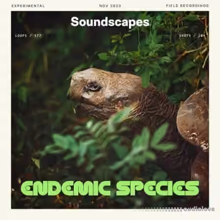 Splice Soundscapes Endemic Species [WAV]