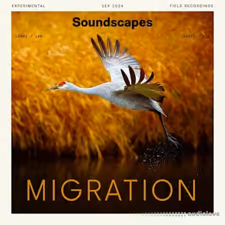 Splice Soundscapes Migration [WAV]