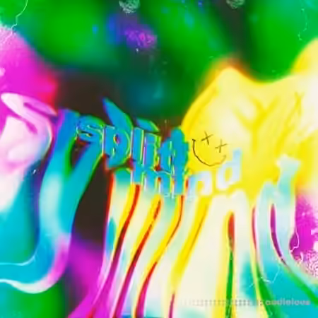 Splitmind Vol.1 Loop Kit [WAV]