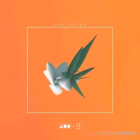 Squadpack x Samplified Soulected [WAV, MiDi]