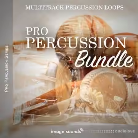 Steinberg Pro Percussion Bundle [VSTSOUND]
