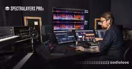 Steinberg SpectraLayers Pro v8.0.20 [WiN]