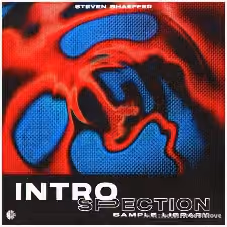 Steven Shaeffer INTROSPECTION (Sample Library) [WAV]