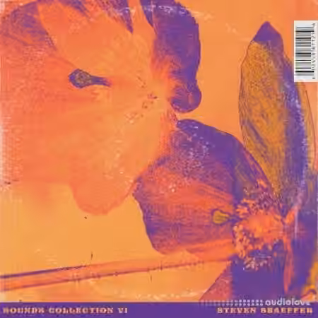 Steven Shaeffer Sound Collection Vol.1 [WAV]