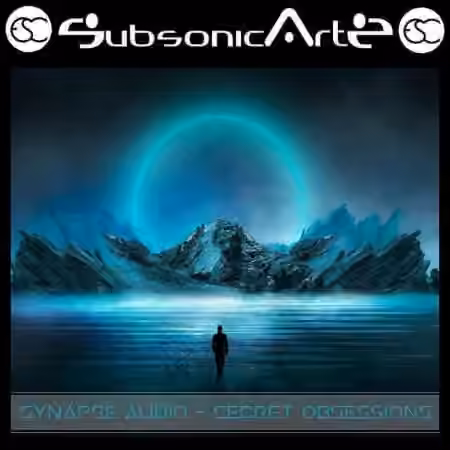 Subsonic Artz + ESC Secret Obsessions for Synapse Audio Obsession [Synth Presets]