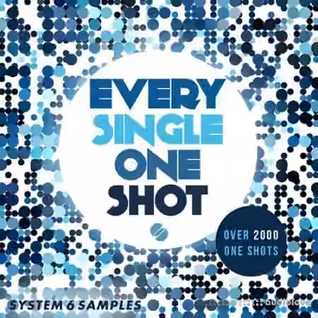 System 6 Samples Every Single One Shot [WAV]
