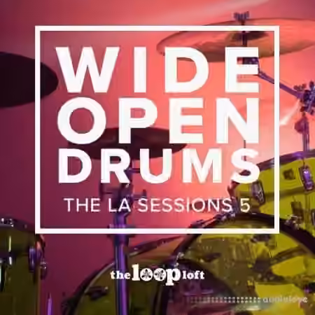 The Loop Loft Wide Open Drums Brush Boom [WAV]