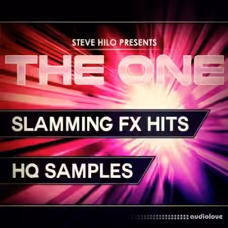 THE ONE Slamming FX Hits [WAV, MiDi, Synth Presets]