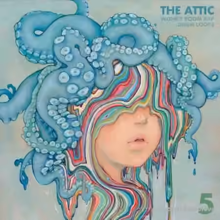 TheAttic Wonky BoomBap Drum Loops (Lofi Ed.) [WAV]