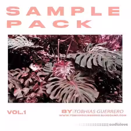 Tobhias Guerrero Sample Pack (Loops Tools) [WAV]