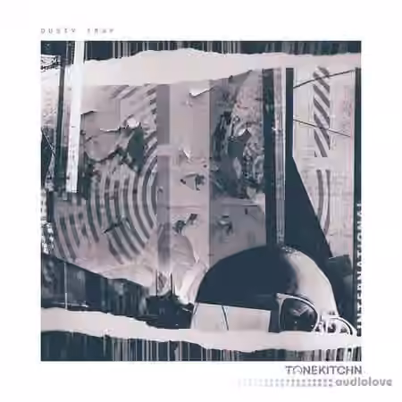Tone Kitchn Dusty Trap [MULTiFORMAT, Sampler Patches, MiDi, WAV]