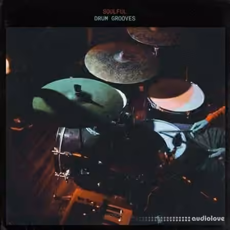 Touch Loops Soulful Drum Grooves [WAV]