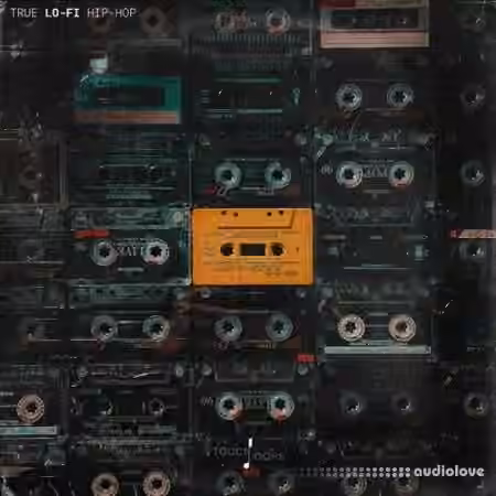 Touch Loops True Lo-Fi Hip Hop [WAV]