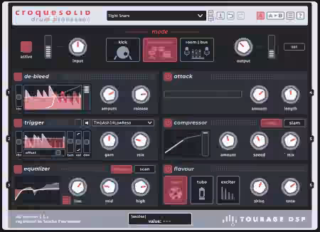 TOURAGE DSP Croquesolid v1.1.1 [WiN]