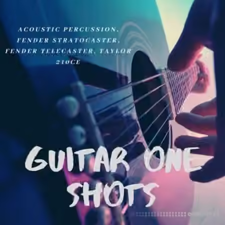 Toxic Samples Guitar One Shots [WAV]