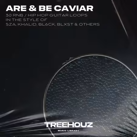 Treehouz Are and Be Caviar [WAV]