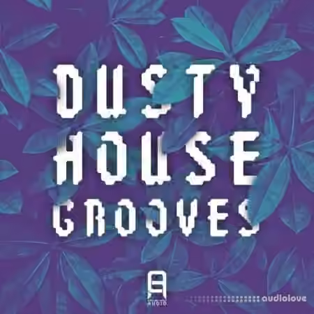 Ultimate Loops Dusty House Grooves [WAV]
