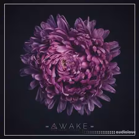 Unmute Awake [WAV, MiDi, Synth Presets]