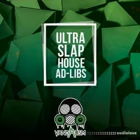 Vandalism Slap House Ad Libs [WAV]