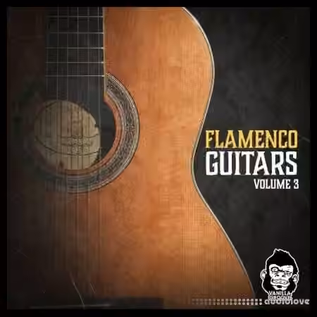 Vanilla Groove Studios Flamenco Guitars Vol.3 [WAV]