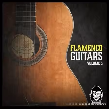 Vanilla Groove Studios Flamenco Guitars Vol.5 [WAV]
