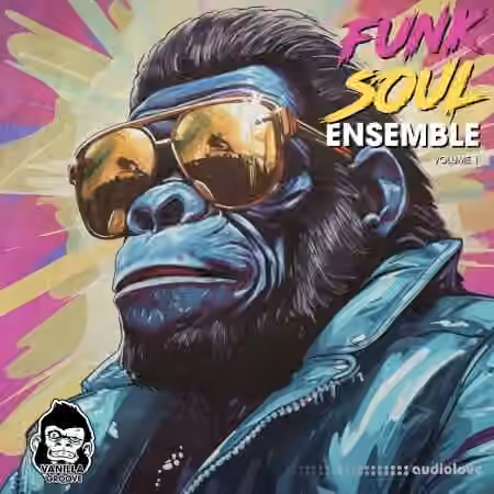 Vanilla Groove Studios Funk Soul Ensemble Vol 1 [WAV]