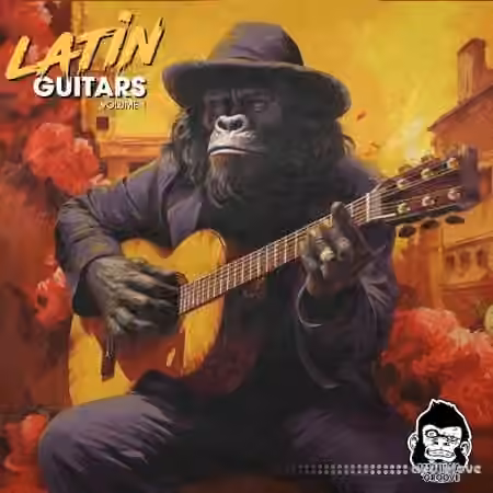 Vanilla Groove Studios Latin Acoustic Guitars Vol 1 [WAV]