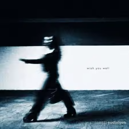 Victor Tran Wish You Well (Compositions and Stems) [WAV]