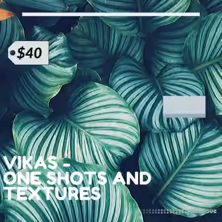 Vikas One Shots +Textures Vol.1 [WAV]