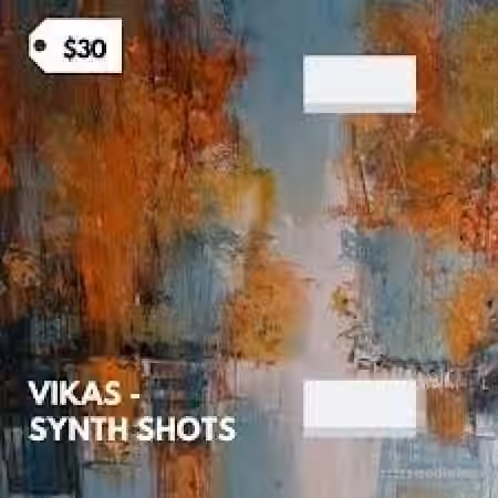 Vikas Synth Shots Library [WAV]