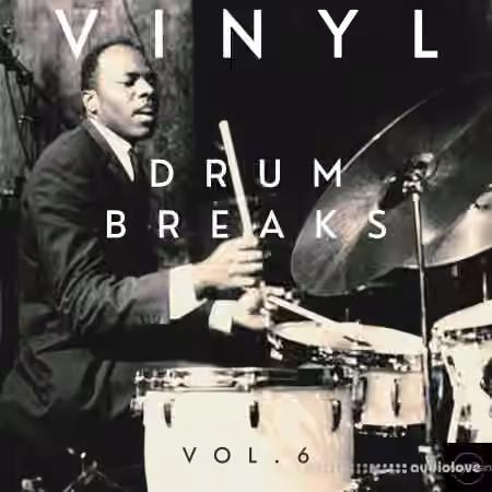 Vinyl Zen Vinyl Drum Breaks Vol.6 (22 Drum Breaks Perfectly Looped) [WAV]