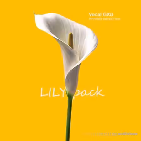 VOCAL GXD Lily Afrobeats Sample Pack [WAV]