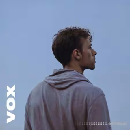VOX Focal Point by Michael Bruner [WAV]