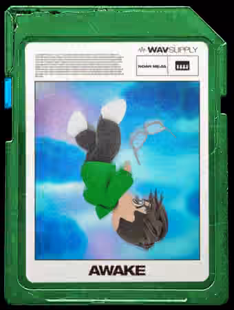 WavSupply Noah Mejia Awake (One Shot Kit + Vocal Chops) [WAV, MiDi]