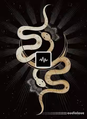 WavSupply Repko Sacred (Drum Kit) [WAV]