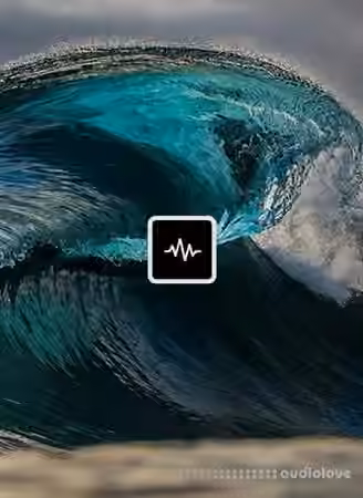 WavSupply TouchOfTrent Tsunami [Synth Presets]