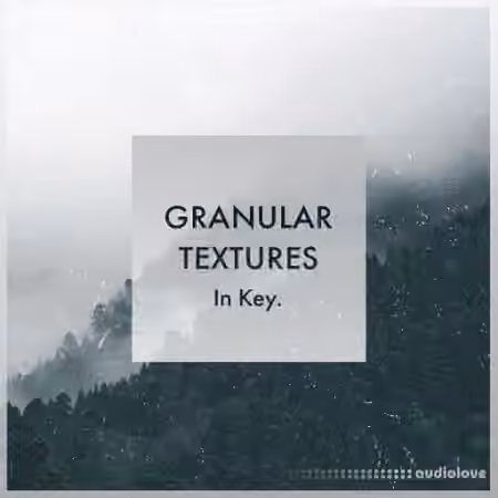 Whitenoise Records Granular Textures In Key [WAV]