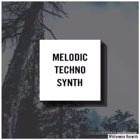 Whitenoise Records Melodic Techno Synth [WAV]