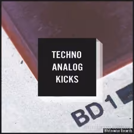 Whitenoise Records Techno Analog Kicks B [WAV]