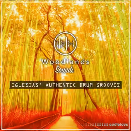 Woodlands Sounds Iglesias Authentic Drum Grooves [WAV]