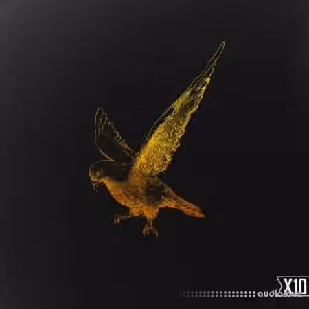 X10 Motion Deep Trap And Drill Melody Pack [WAV]