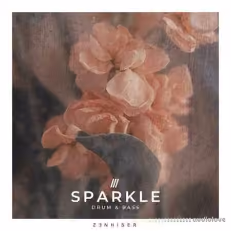 Zenhiser Sparkle Drum and Bass [WAV, MiDi]