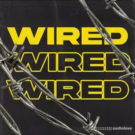 Ztar Audio Wired [WAV]